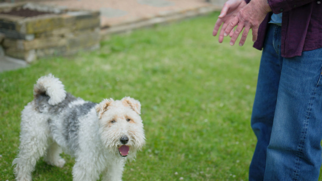 Homeowner Tony standing in his rural Pennines cottage garden with his Fox Terrier dog.